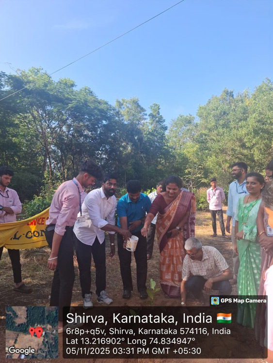 Plant Sapling Activity